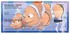 Finding Dory Checks Image 3